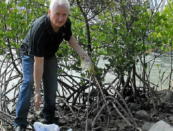 Wildlife in danger as amount of harbour rubbish increases