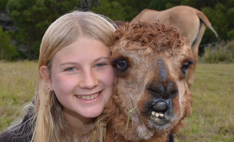 Keira-Lyn Turner with Hosea the Alpaca that they have rescued. Keira-Lyn Turner with Hosea the Alpaca that they have rescued.