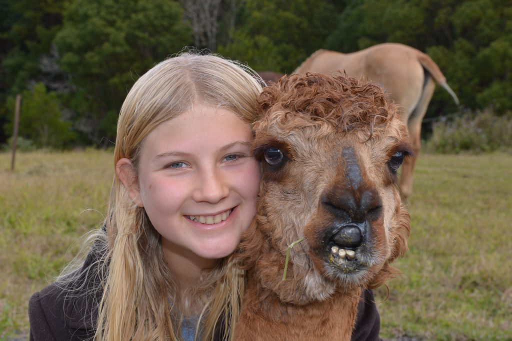 Keira-Lyn Turner with Hosea the Alpaca that they have rescued. Keira-Lyn Turner with Hosea the Alpaca that they have rescued.
