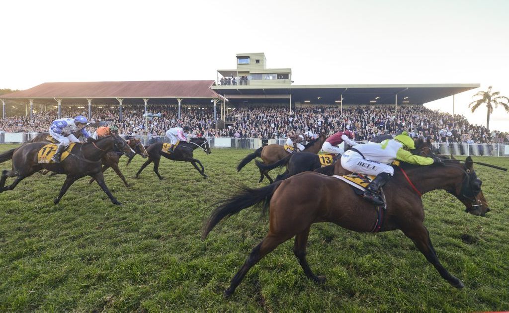 OUT: Mr O'Ceirin was officially scratched from the Grafton Cup late Tuesday afternoon. OUT: Mr O'Ceirin was officially scratched from the Grafton Cup late Tuesday afternoon.