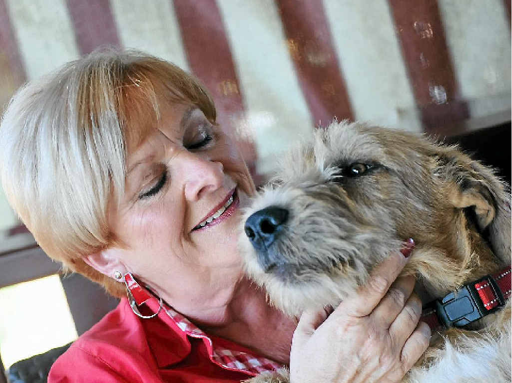 PLEA: Gladstone Friends of RSPCA president Judy Whicker with Sergeant. PLEA: Gladstone Friends of RSPCA president Judy Whicker with Sergeant.
