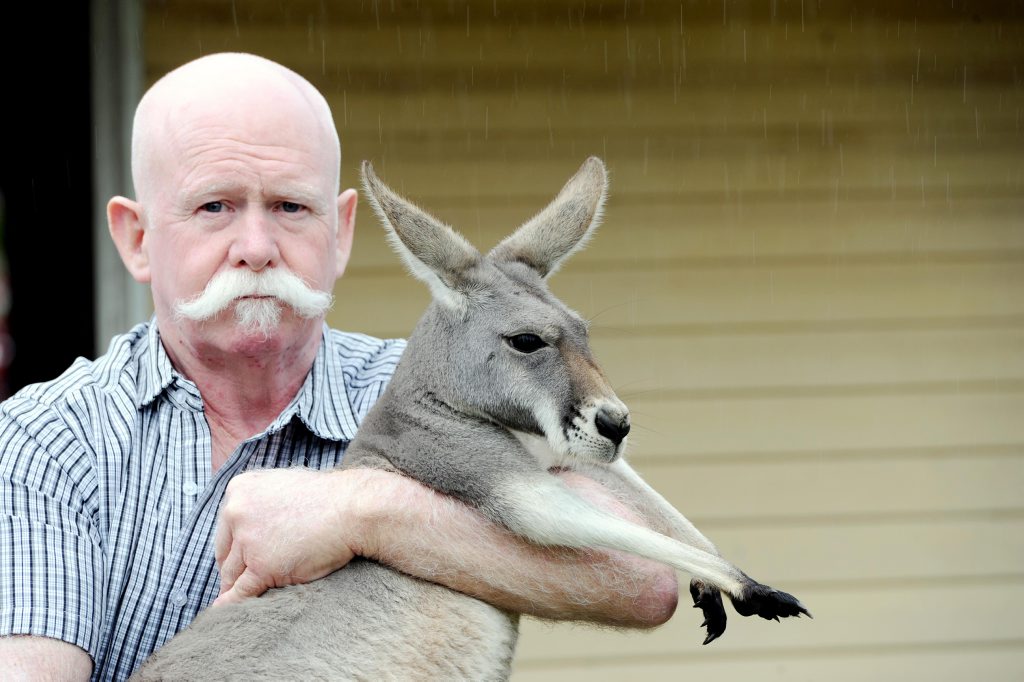 Colin Candy, with Frances the kangaroo, is standing strong after 12 years of defending his right to have roos in his backyard. Colin Candy, with Frances the kangaroo, is standing strong after 12 years of defending his right to have roos in his backyard.