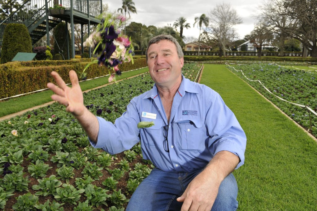 Council gardener Frieldhelm Karl Grams throws some pansies in the air at Laurel Bank park. Council gardener Frieldhelm Karl Grams throws some pansies in the air at Laurel Bank park.