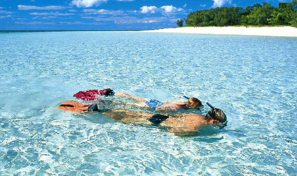Heron Island is a great escape for the family or for couples. Heron Island is a great escape for the family or for couples.