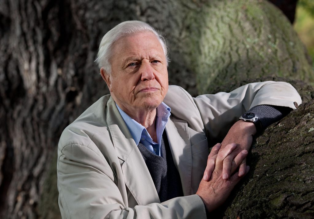 Sir David Attenborough. Sir David Attenborough.