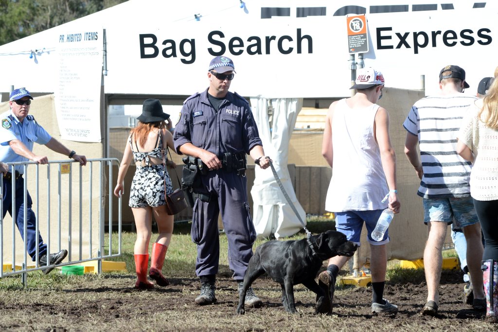 Police sniffer dogs at the enterance of Splendour In The Grass. Police sniffer dogs at the enterance of Splendour In The Grass.