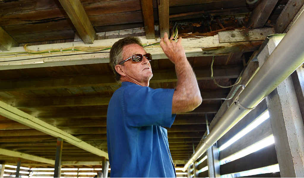 Property owner Rick Hyde inspects under the house. Property owner Rick Hyde inspects under the house.