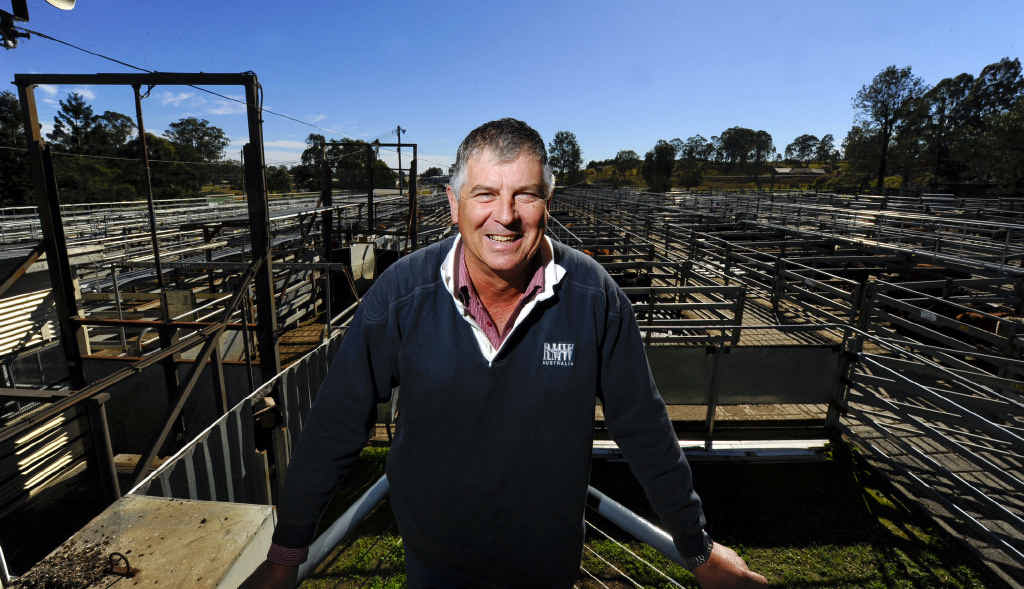 TOUGH TIMES: Stock and station agent Ray Donovan says business at the Grafton Saleyards will improve but everyone needs to tighten their belts until then. PHOTO: JOJO NEWBY TOUGH TIMES: Stock and station agent Ray Donovan says business at the Grafton Saleyards will improve but everyone needs to tighten their belts until then. PHOTO: JOJO NEWBY