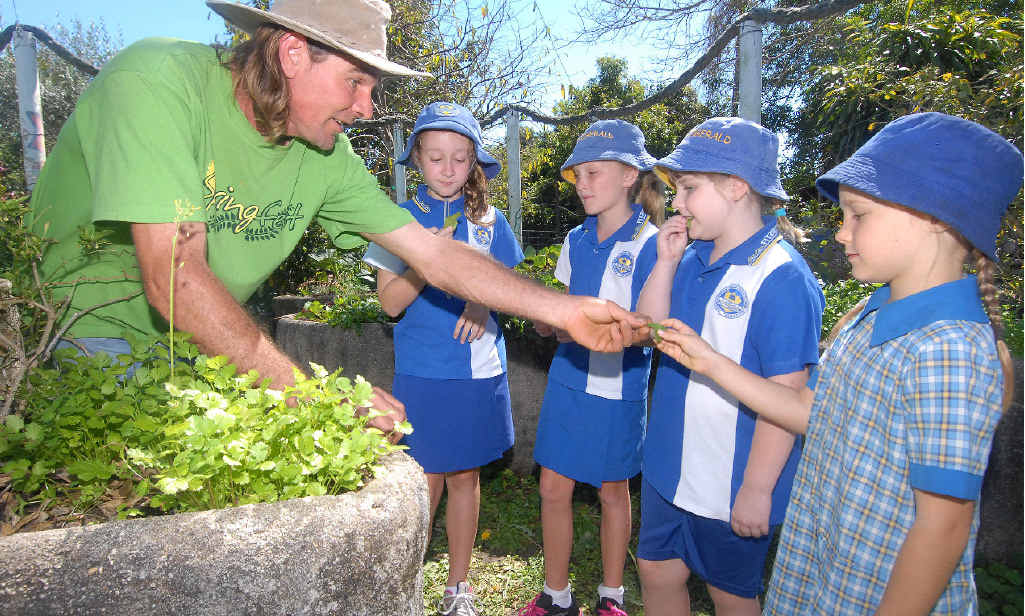 Mackay Community Garden co-ordinator Luke Mathews shows Fitzgerald State School Year 3 students (from left) Sophie Sticklan, Amy Young, Lucie Sippel and Thea Davidson a thing or two about tasty home-grown greens. Mackay Community Garden co-ordinator Luke Mathews shows Fitzgerald State School Year 3 students (from left) Sophie Sticklan, Amy Young, Lucie Sippel and Thea Davidson a thing or two about tasty home-grown greens.