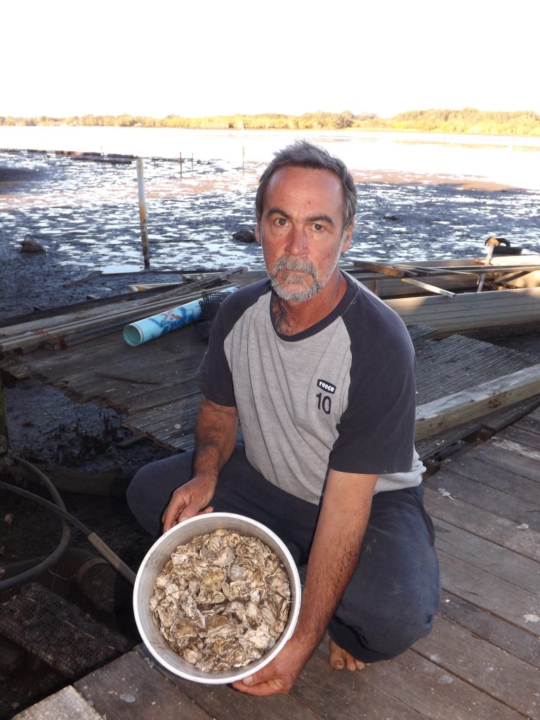 Geoff Lawler from Steinhardt's Oysters on North Creek in Ballina with some of his damaged oysters. Geoff Lawler from Steinhardt's Oysters on North Creek in Ballina with some of his damaged oysters.
