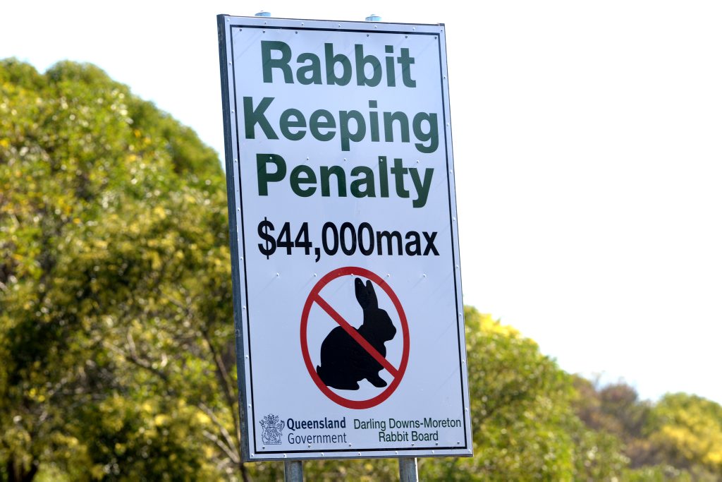 There is a new rabbit penalty sign on the border. There is a new rabbit penalty sign on the border.