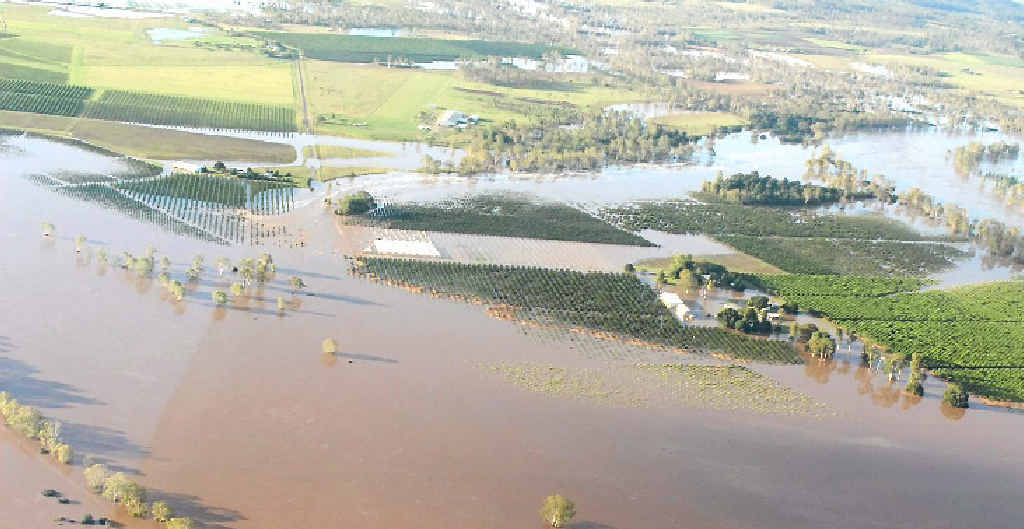 UNDER WATER: Much of the Abbotsleigh Citrus Farm in Gin Gin is inundated in the summer floods. UNDER WATER: Much of the Abbotsleigh Citrus Farm in Gin Gin is inundated in the summer floods.