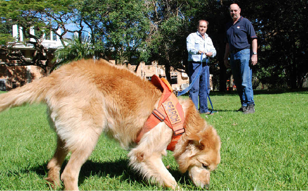 Royce Holtkamp, DPI strategy leader for invasive species (right), and Justin Gibson, senior dog handler from Biosecurity Queensland, guide odour detection dog Mikey in search of destructive imported red fire ants. Royce Holtkamp, DPI strategy leader for invasive species (right), and Justin Gibson, senior dog handler from Biosecurity Queensland, guide odour detection dog Mikey in search of destructive imported red fire ants.