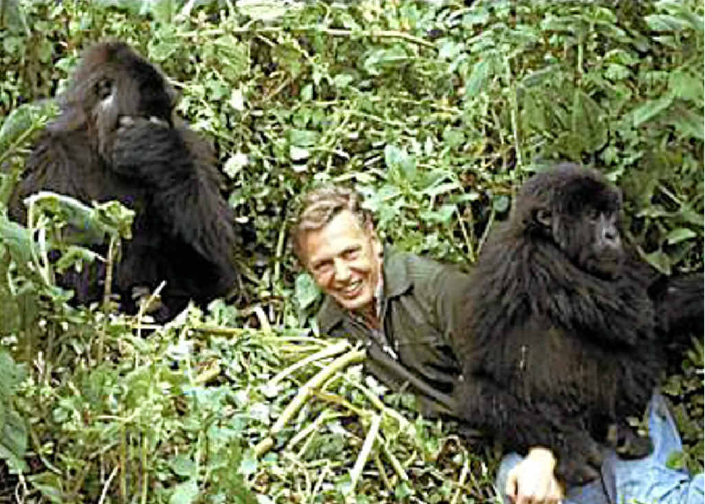 Sir David Attenborough Sir David Attenborough