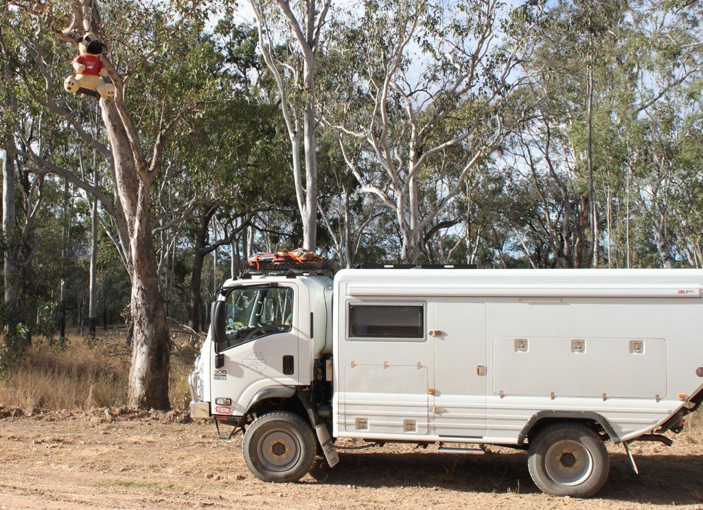 Someone has strung a soft toy high in a tree on the wagon trail west of Springsure. Someone has strung a soft toy high in a tree on the wagon trail west of Springsure.