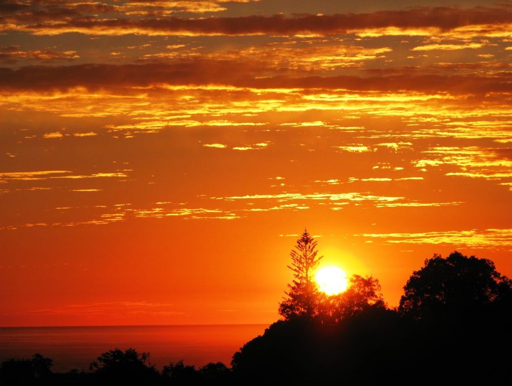 This stunning sunrise was snapped by one of our dedicated readers. This stunning sunrise was snapped by one of our dedicated readers.
