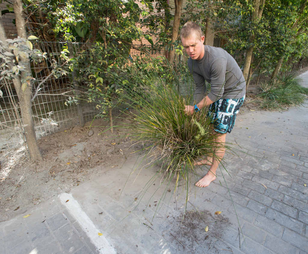 NOT HAPPY: Richard Pearson and the damage he says was caused by NBNCo contractors. NOT HAPPY: Richard Pearson and the damage he says was caused by NBNCo contractors.