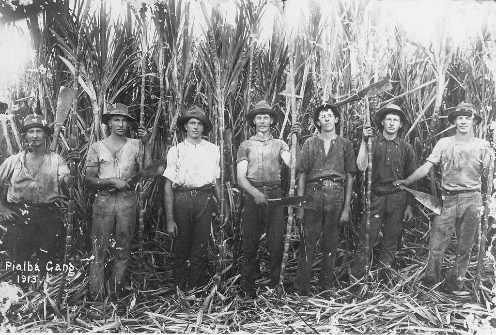 The Pialba cane-cutting gang in 1913. The Pialba cane-cutting gang in 1913.