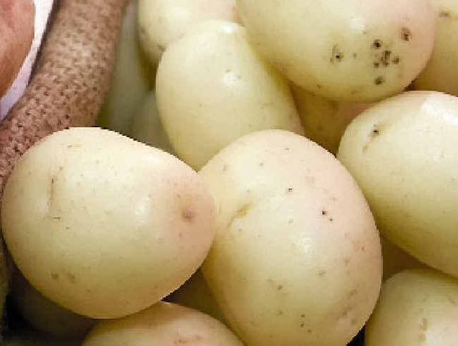 Get your potatoes started now. Get your potatoes started now.