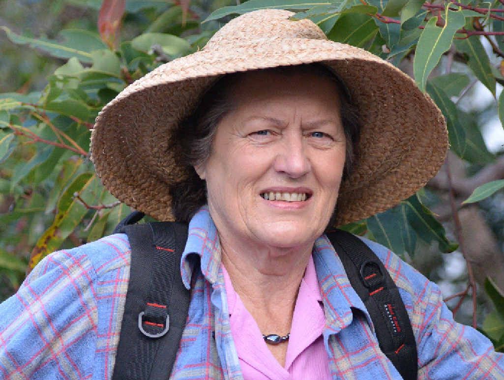 Margaret Paterson’s hand still throbs some three weeks after coming into contact with a Gympie Gympie. Margaret Paterson’s hand still throbs some three weeks after coming into contact with a Gympie Gympie.