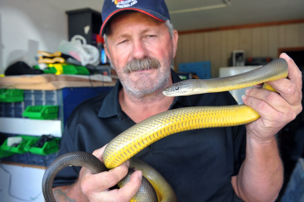 HEATING UP: Snake catcher Anthony Zink warns that snakes are the move now that temperatures are rising. Anthony is handling a non-venomous Water python in this photo. Photo: Max Fleet / NewsMail HEATING UP: Snake catcher Anthony Zink warns that snakes are the move now that temperatures are rising. Anthony is handling a non-venomous Water python in this photo. Photo: Max Fleet / NewsMail