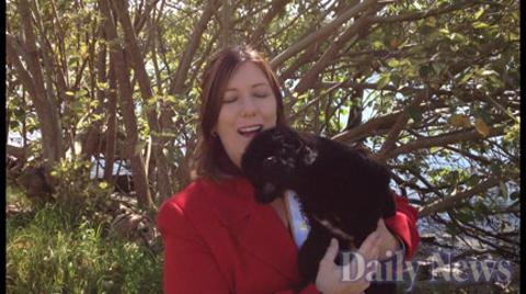 Award Winning Dog Groomer