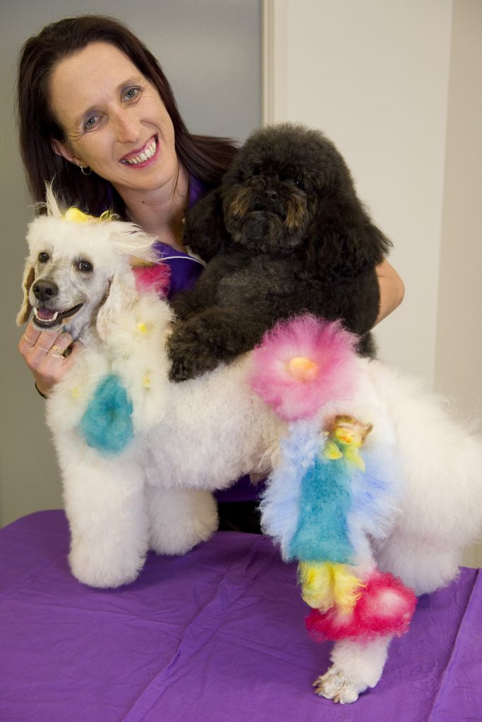 Taryn Binstead of Canine Creation will head to Sydney to compete in Groomquest 2013. She will enter Pablo in the creative grooming section, while Sooty will be in the freestyle grooming section. Taryn Binstead of Canine Creation will head to Sydney to compete in Groomquest 2013. She will enter Pablo in the creative grooming section, while Sooty will be in the freestyle grooming section.