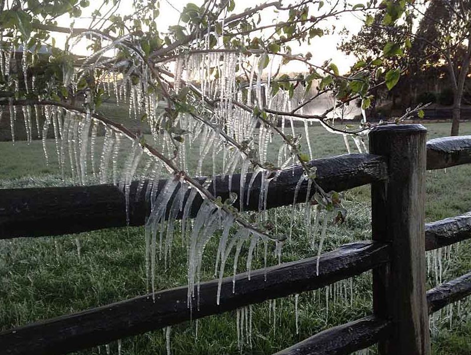 It was literally freezing in Meringandan this morning with the mercury dropping to minus 5 degrees. It was literally freezing in Meringandan this morning with the mercury dropping to minus 5 degrees.
