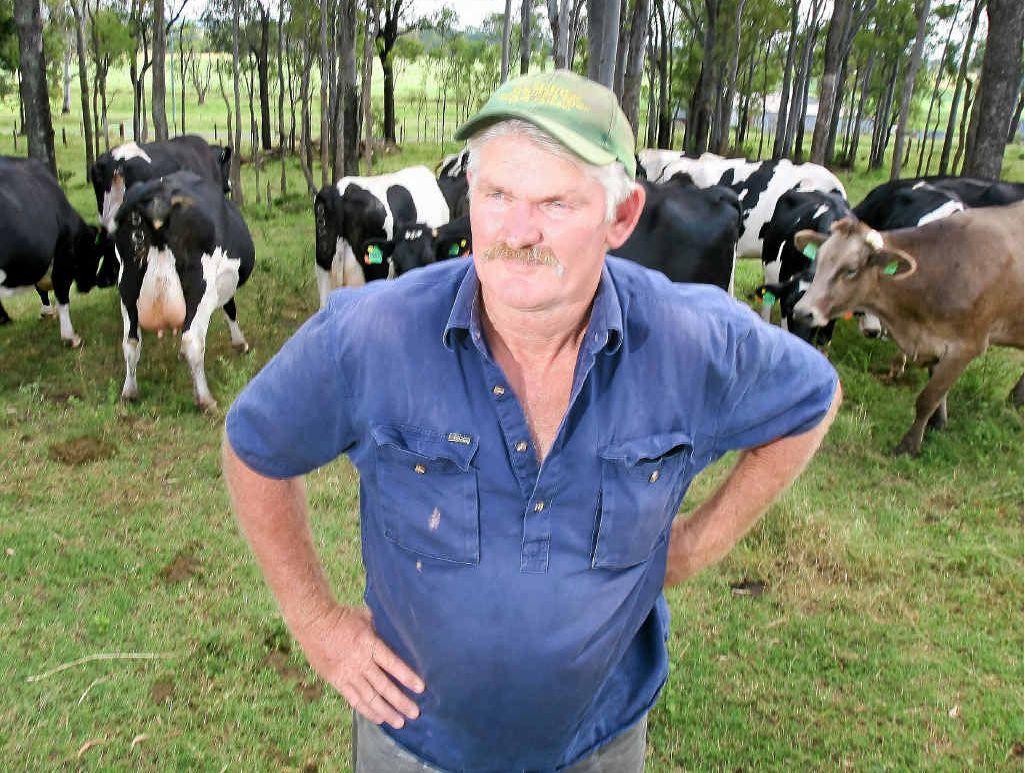 FIGHT: Harrisville dairy farmer Ross McInnes is fighting for a fairer go. FIGHT: Harrisville dairy farmer Ross McInnes is fighting for a fairer go.