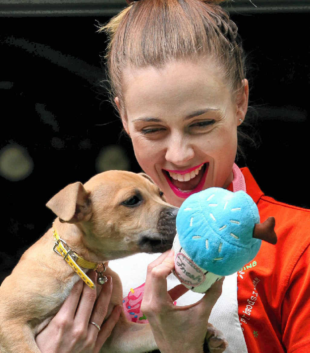SWEET SUCCESS: Carmen Glanville with Belle the staffy cross at RSPCA Wacol, where they have just celebrated Cupcake Day. SWEET SUCCESS: Carmen Glanville with Belle the staffy cross at RSPCA Wacol, where they have just celebrated Cupcake Day.