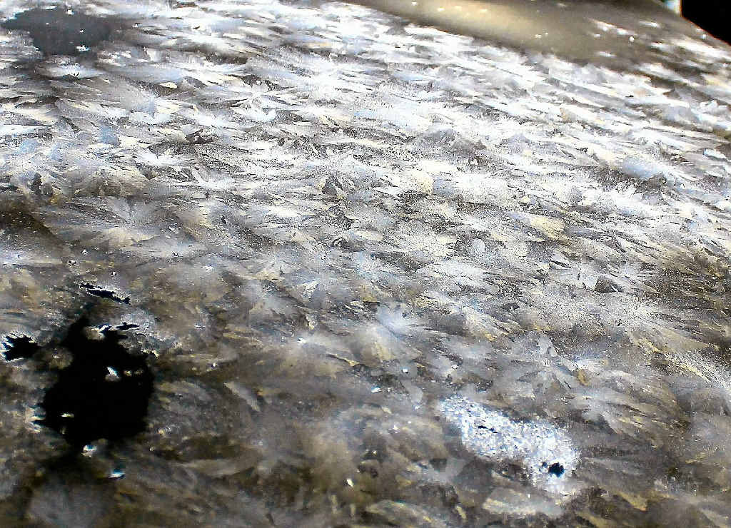 GLASS MEETS ICE: Fern frost on the bonnet of a new car.