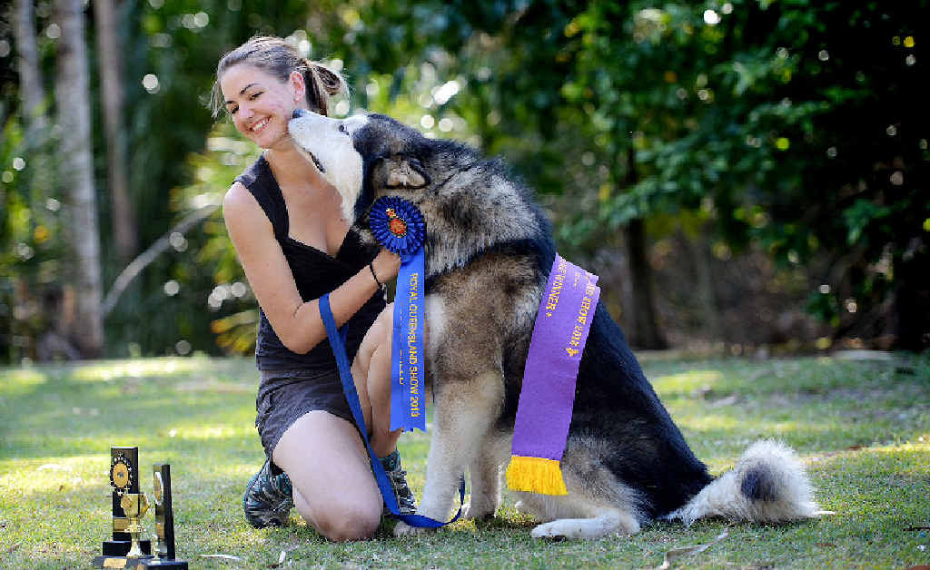 Rachael Sorrell and her best mate and champion dog Brock. Rachael Sorrell and her best mate and champion dog Brock.