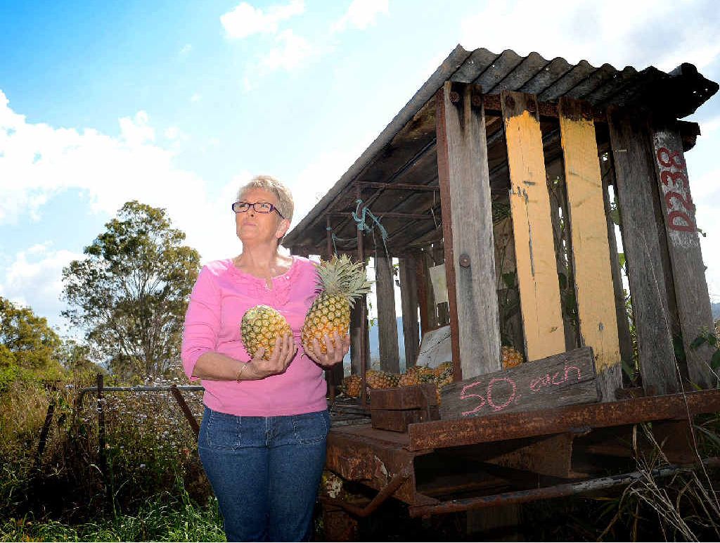 Kaye Milfull with her Mary Valley pineapple stall on Dagun Pocket Rd. Kaye Milfull with her Mary Valley pineapple stall on Dagun Pocket Rd.