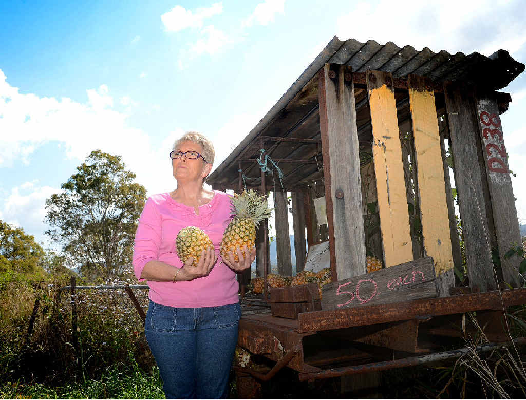 Kaye Milfull with her Mary Valley pineapple stall on Dagun Pocket Rd. Kaye Milfull with her Mary Valley pineapple stall on Dagun Pocket Rd.