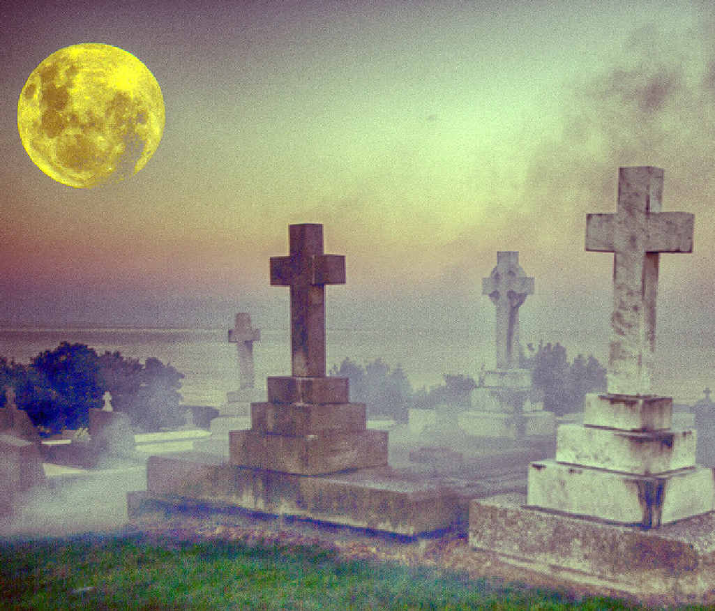NEW LIFE: Ballina artist Mark Davis has submitted this work, The Dead Centre of Ballina – Graves With a View, for the exhibition A Book About Death. NEW LIFE: Ballina artist Mark Davis has submitted this work, The Dead Centre of Ballina – Graves With a View, for the exhibition A Book About Death.