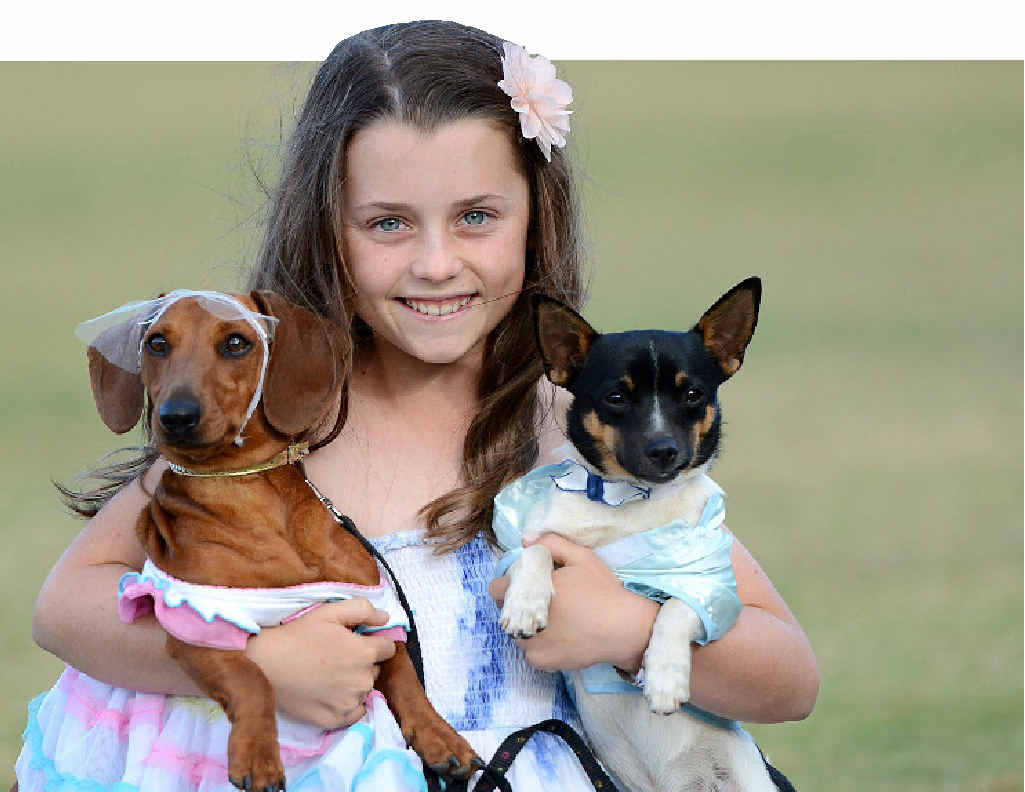 GOOD FUN: Mother of the bride Lara Urwin with Bella and Archie, who were married in a special doggy ceremony last weekend. GOOD FUN: Mother of the bride Lara Urwin with Bella and Archie, who were married in a special doggy ceremony last weekend.