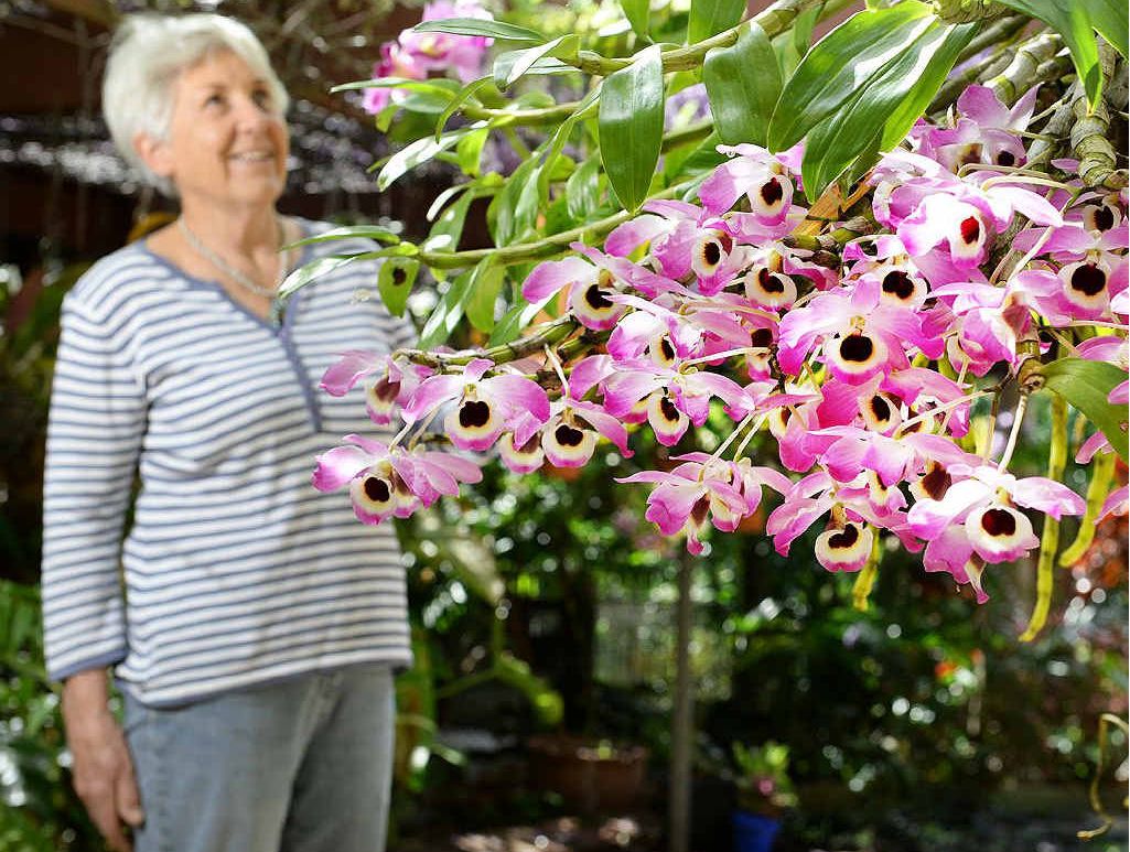 OPEN GARDEN: Jan Flanigan in her Mt Crosby garden, which is open to the public this weekend. OPEN GARDEN: Jan Flanigan in her Mt Crosby garden, which is open to the public this weekend.