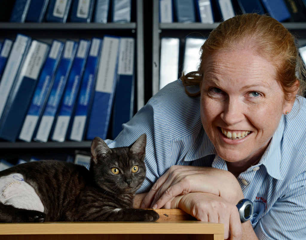 PURR-FECT MATCH: Full-time accountant and part-time animal foster carer Anna Lightfoot with Cassidy, who is recovering from recent surgery. PURR-FECT MATCH: Full-time accountant and part-time animal foster carer Anna Lightfoot with Cassidy, who is recovering from recent surgery.
