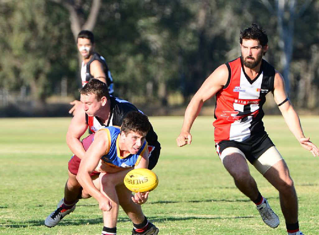 Afl Capricornia Premiership Trifecta For Bits Saints News Mail