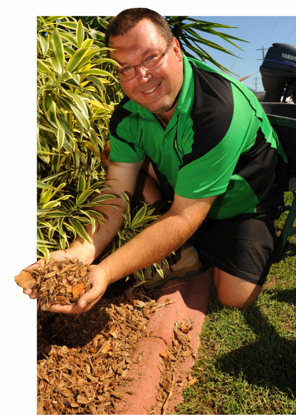 GARDENING GURU: Clint Heathorn says good fertliser pays off with sweet rewards. GARDENING GURU: Clint Heathorn says good fertliser pays off with sweet rewards.