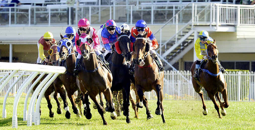 JOCKEYING FOR POSITIONS: Riders and their horses round the first bend in the 2150m Optus Handicap at Bundamba race track at last Thursday’s meeting. JOCKEYING FOR POSITIONS: Riders and their horses round the first bend in the 2150m Optus Handicap at Bundamba race track at last Thursday’s meeting.
