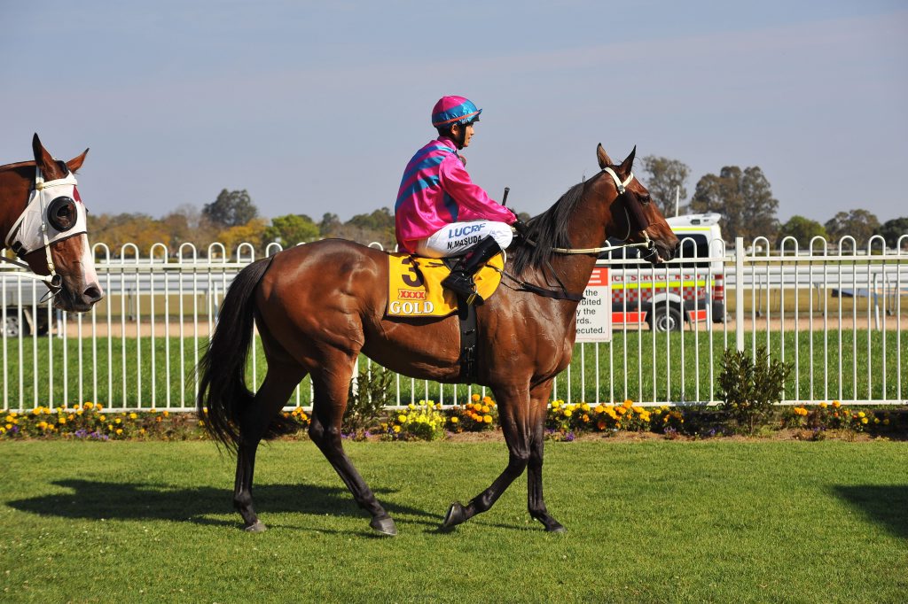 RIDING HIGH: Fledgling jockey Noriyuki Masuda scored on Life Patrol at his first race ride on the weekend. Photo: Bruce Thomas / Trackside Photography RIDING HIGH: Fledgling jockey Noriyuki Masuda scored on Life Patrol at his first race ride on the weekend. Photo: Bruce Thomas / Trackside Photography