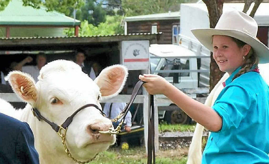 YOUNG FARMER: Zoe Mackay leading a charolais at the Nimbin Show. YOUNG FARMER: Zoe Mackay leading a charolais at the Nimbin Show.