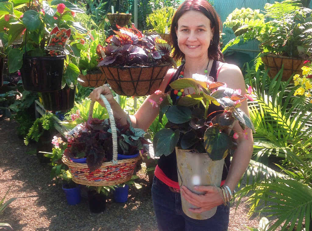 SHADE LOVERS: A few of my favourite plants. SHADE LOVERS: A few of my favourite plants.