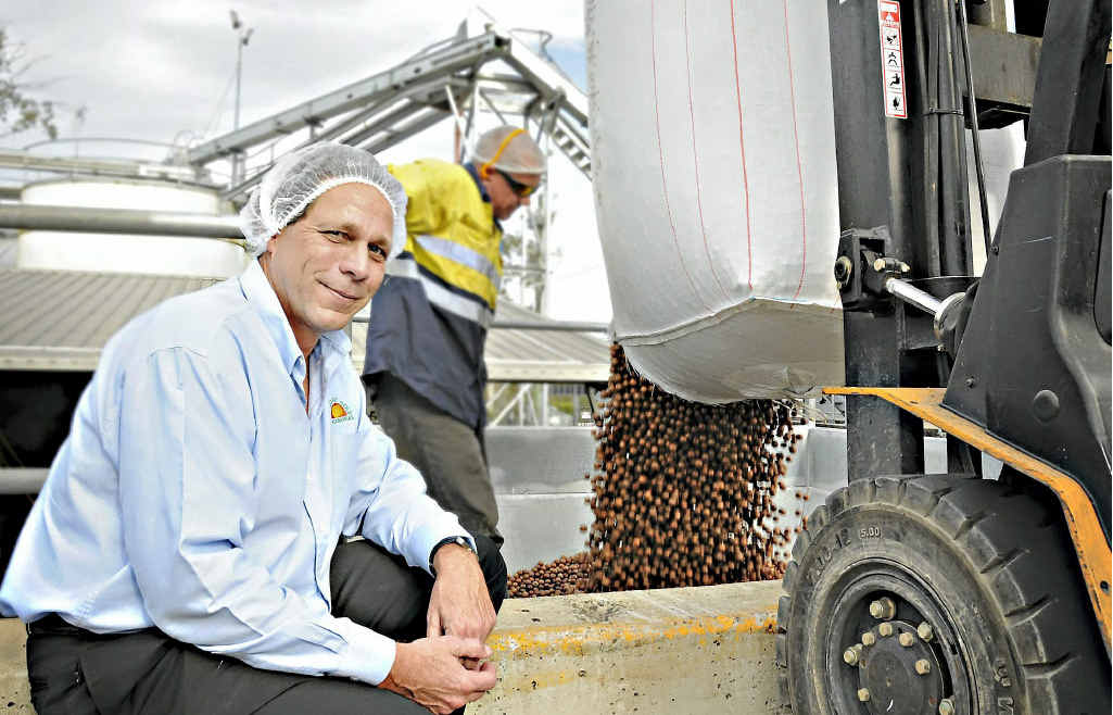 Macadamia nuts are like gold in a year of short supplies, according to Suncoast Gold CEO Jim Twentyman. Macadamia nuts are like gold in a year of short supplies, according to Suncoast Gold CEO Jim Twentyman.