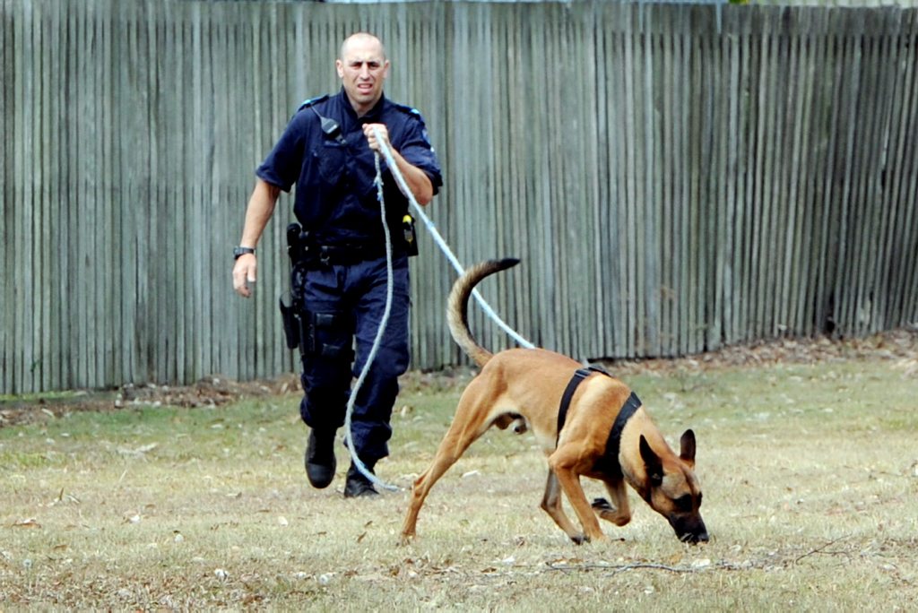 Police dog handler Senior Constable Brendon Dellow and Arkie search Kawungan for an alleged offender. Police dog handler Senior Constable Brendon Dellow and Arkie search Kawungan for an alleged offender.