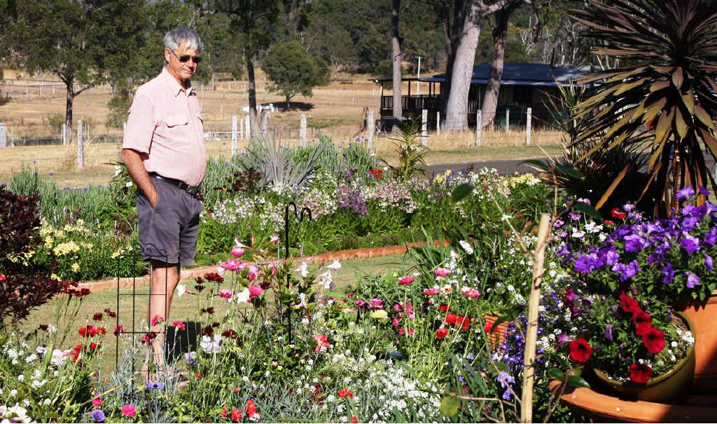 WIN: Alan Small admires his and wife Shirley’s prize-winning garden. WIN: Alan Small admires his and wife Shirley’s prize-winning garden.