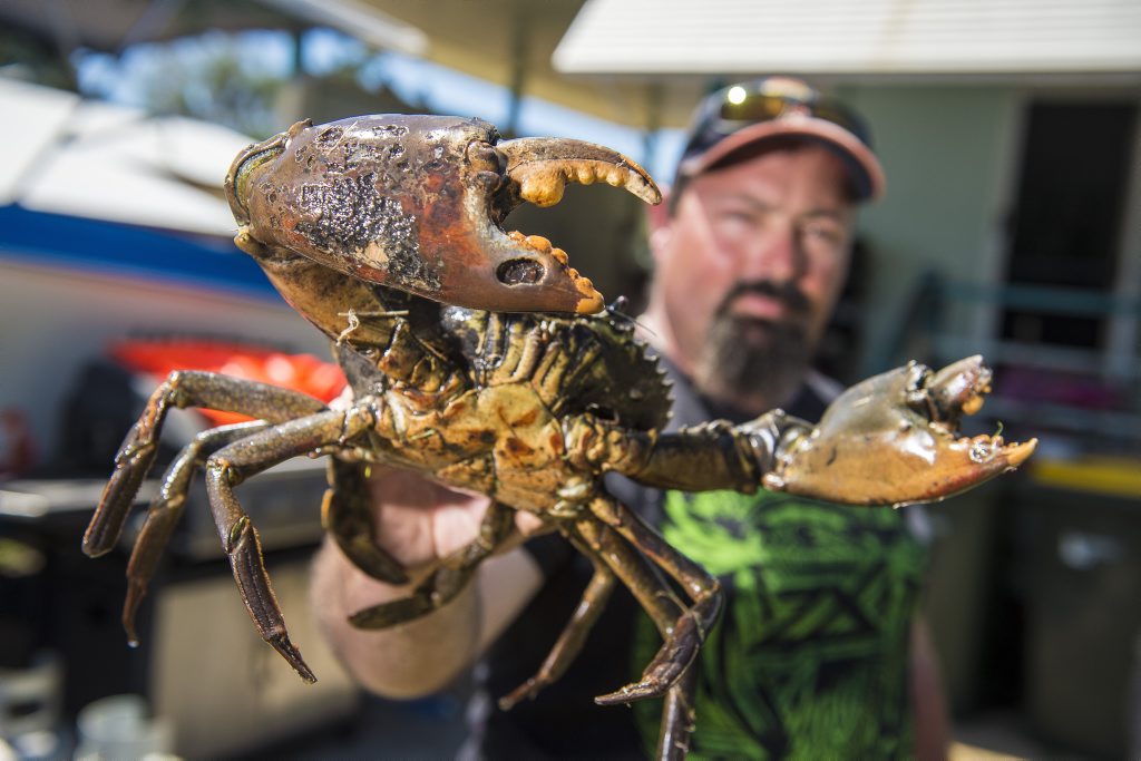 Clayton Reid with a diseased crab caught in Gasworks Creek, Gladstone. Clayton Reid with a diseased crab caught in Gasworks Creek, Gladstone.