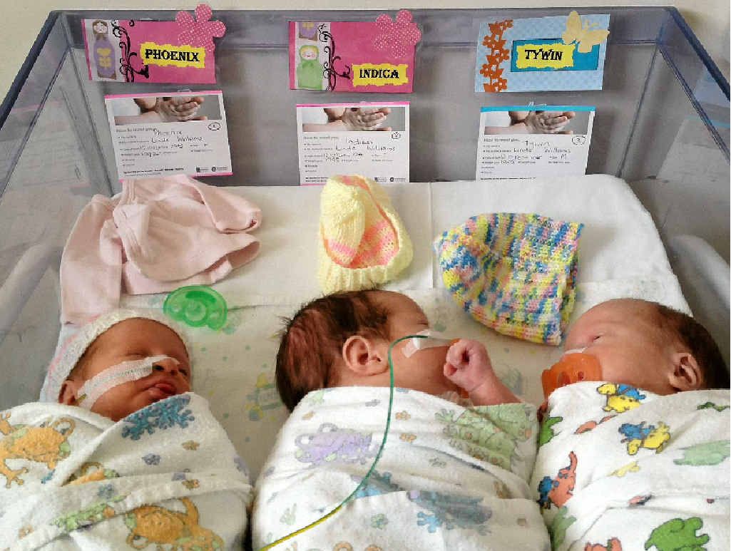 Phoenix, Indica and Tywin were born at Royal Brisbane Women’s Hospital last year. Phoenix, Indica and Tywin were born at Royal Brisbane Women’s Hospital last year.