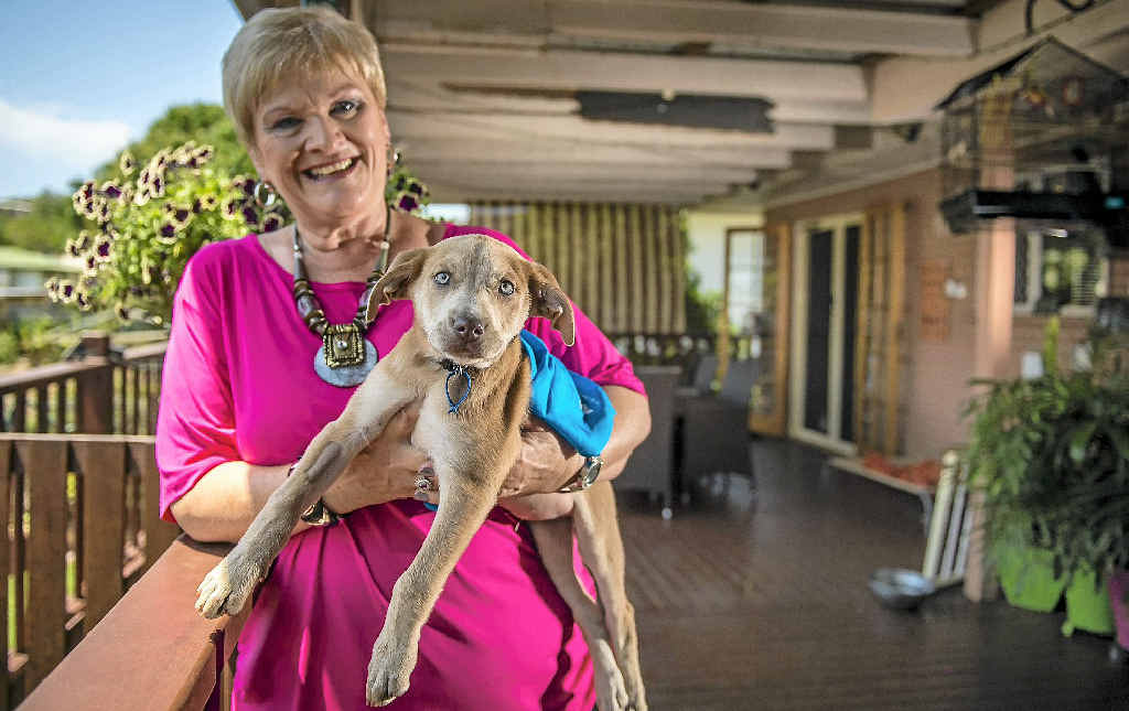 Friends of the RSPCA president Judy Whicker. Friends of the RSPCA president Judy Whicker.
